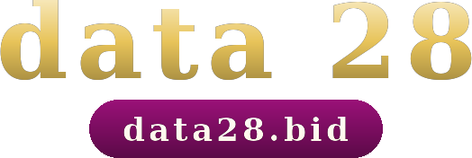 data 28 โลโก้
